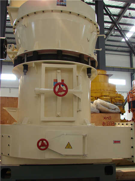 天津院立式輥磨