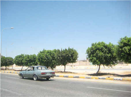 轉讓采石場合同范本