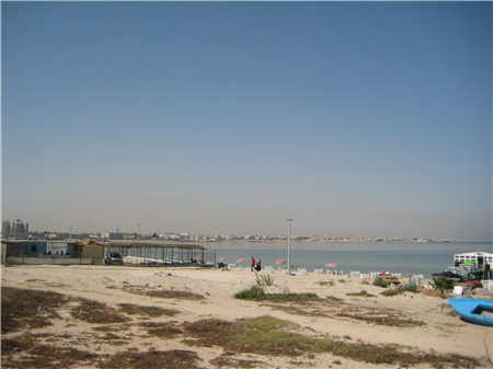 開辦沙場需要內部會計么